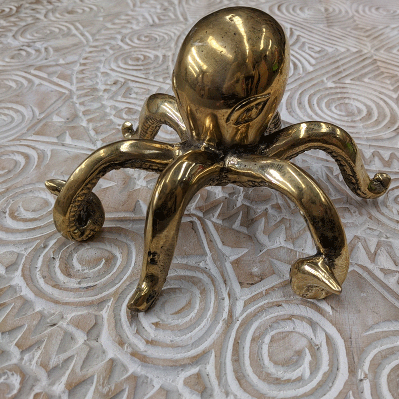 Orlando the Octopus