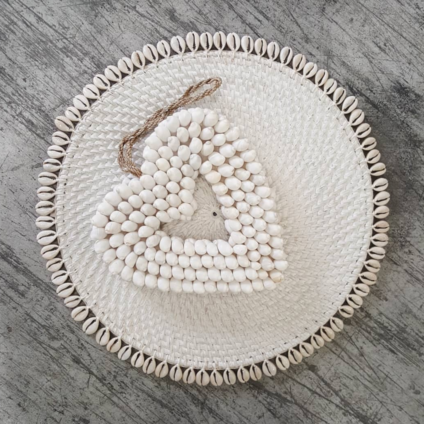 Shell Heart - Bull Shell Design