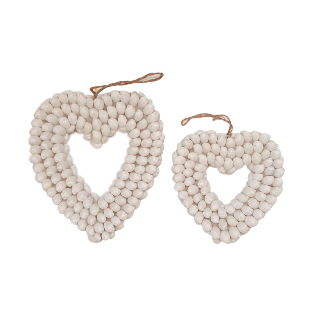 Shell Heart - Bull Shell Design