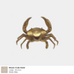 Brass Crab - Gold