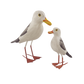 Hand-Carved Wooden Seagull – Painted Coastal Bird (2 Sizes)