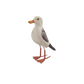 Hand-Carved Wooden Seagull – Painted Coastal Bird (2 Sizes)