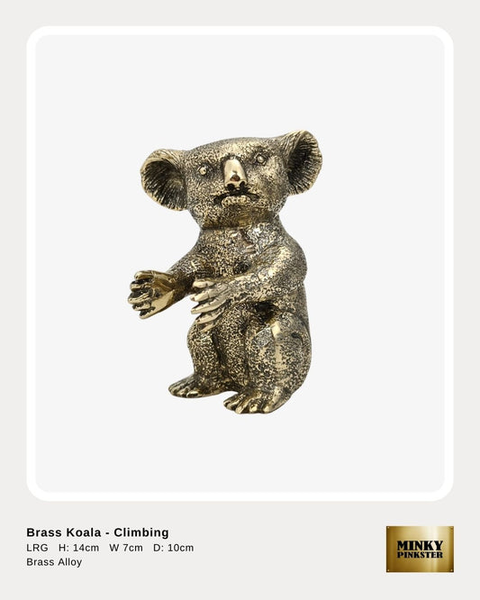 Brass Koala - Climbing