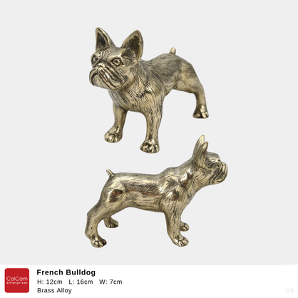 French Bulldog Gold