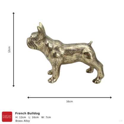 French Bulldog Gold