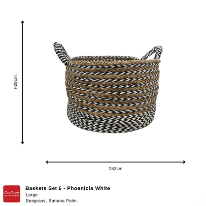 Baskets Set 6 Phoenicia Value Bundle