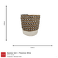 Baskets Set 6 Phoenicia Value Bundle