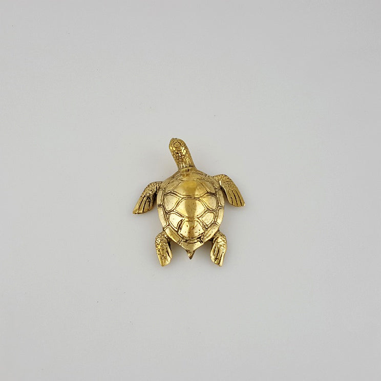 Brass Turtle