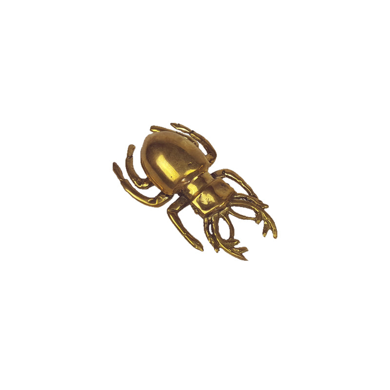 Brass Scarab Beetle