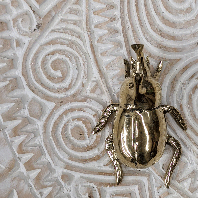 Brass Rhino Beetle