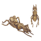 Brass Ant